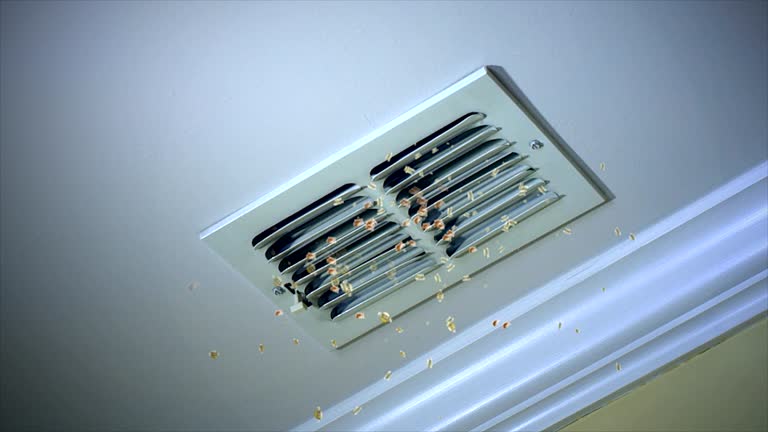 Best Affordable Air Duct Cleaning  in El Rio, CA